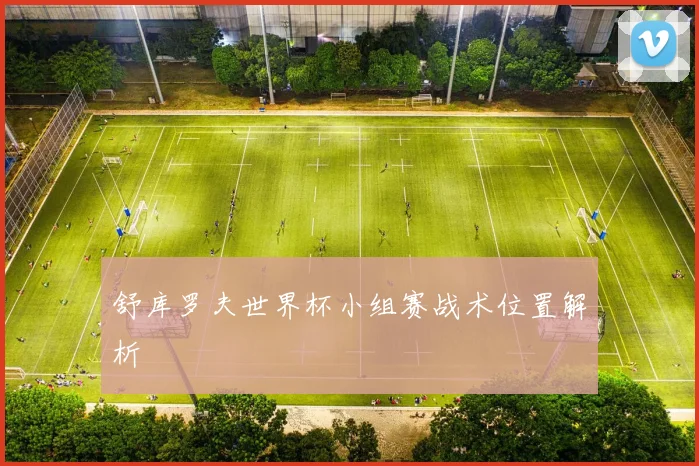 舒库罗夫世界杯小组赛战术位置解析