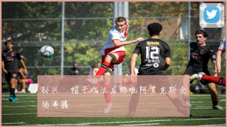 孙兴慜帽子戏法后怒吼阿贾克斯全场沸腾