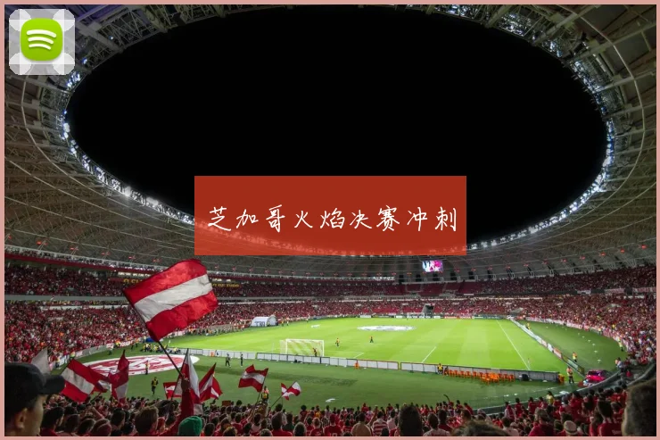 芝加哥火焰决赛冲刺