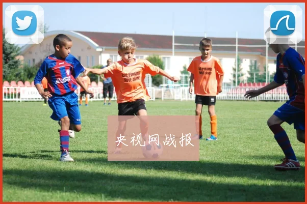 央视网战报