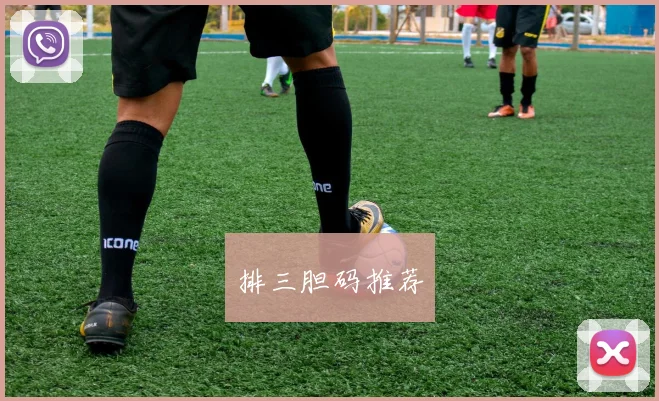 排三胆码推荐
