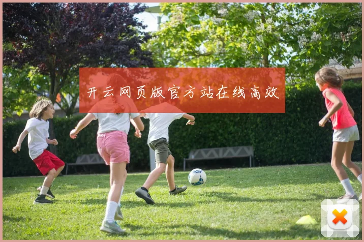 开云网页版官方站在线高效