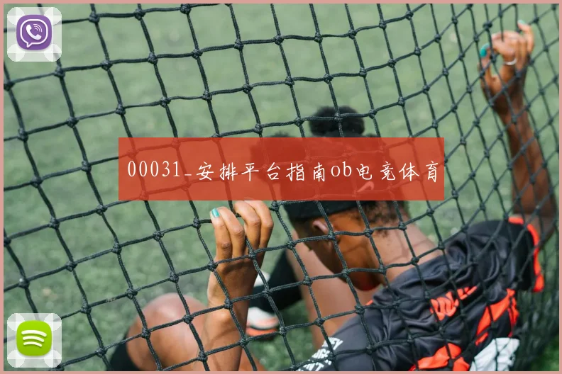00031_安排平台指南ob电竞体育