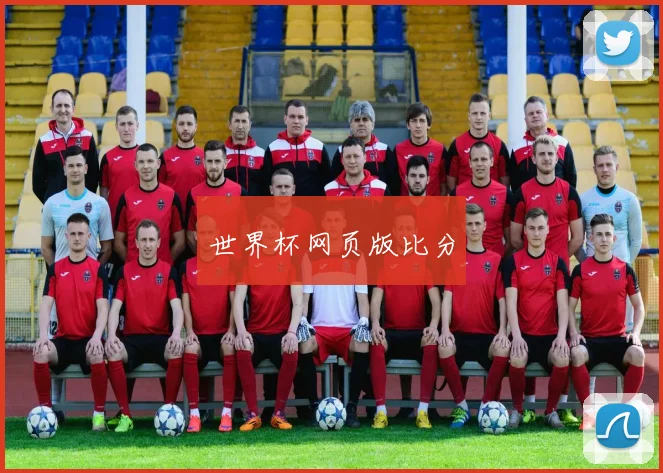 世界杯网页版比分