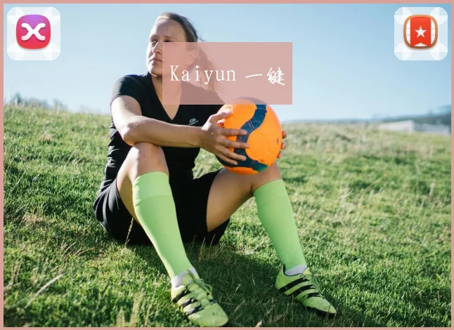 Kaiyun 一键
