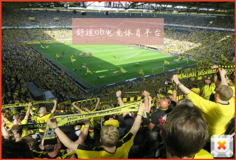舒适ob电竞体育平台