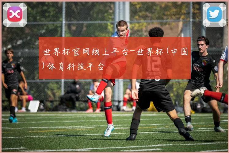 世界杯官网线上平台-世界杯(中国)体育科技平台