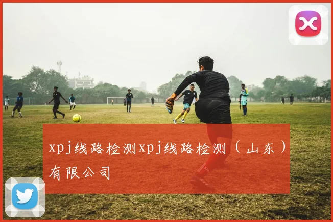 xpj线路检测xpj线路检测（山东）有限公司