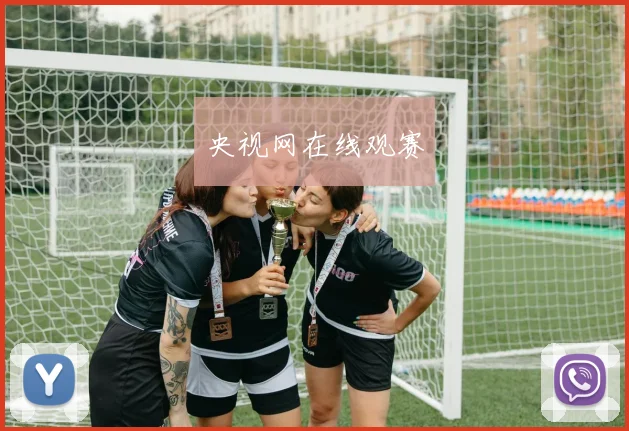 央视网在线观赛