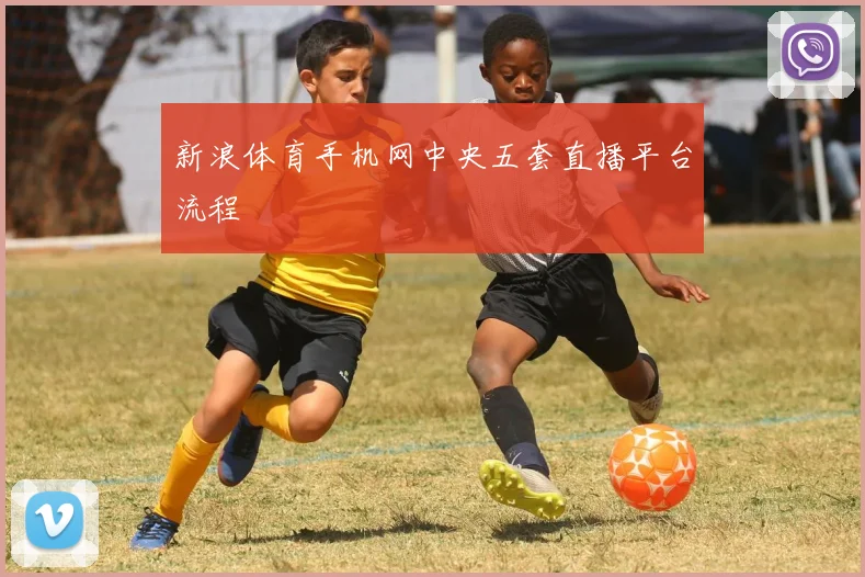 新浪体育手机网中央五套直播平台流程