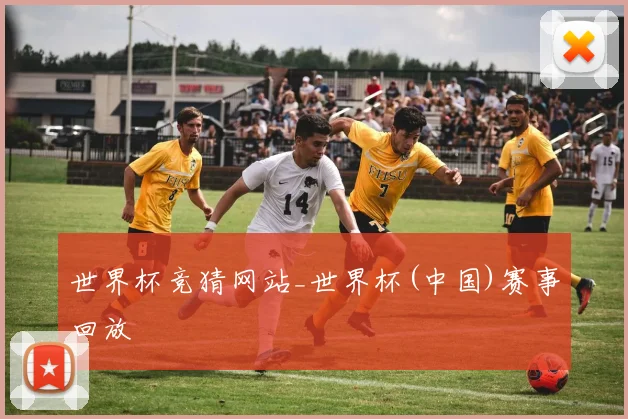 世界杯竞猜网站_世界杯(中国)赛事回放