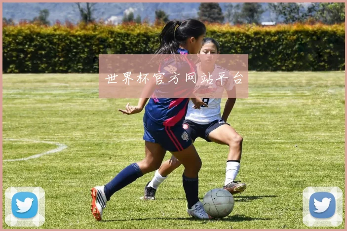 世界杯官方网站平台