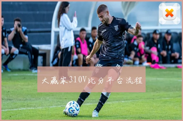 大赢家310V比分平台流程