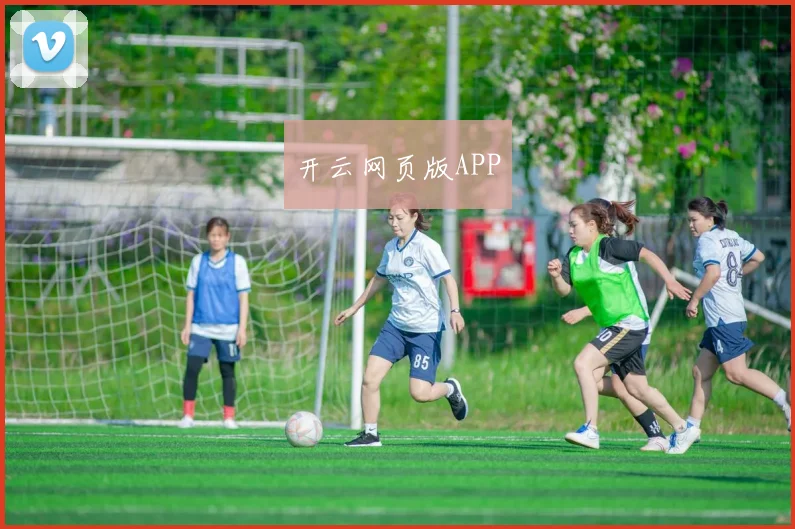 开云网页版APP