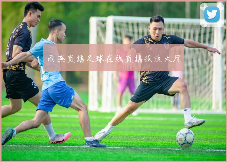 雨燕直播足球在线直播投注大厅