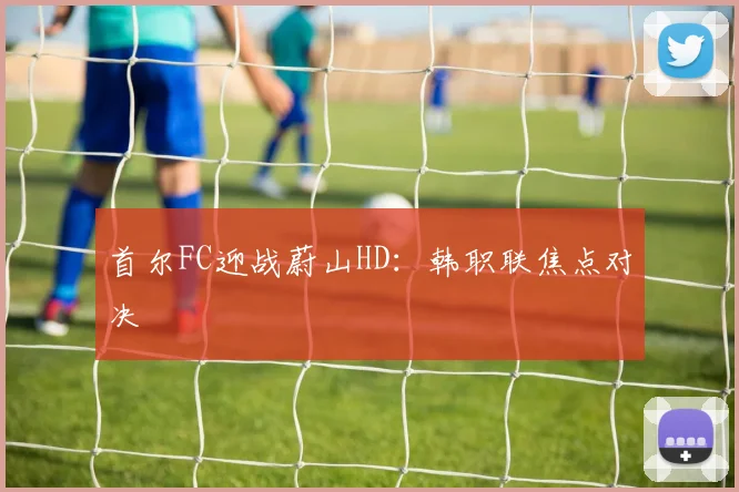 首尔FC迎战蔚山HD：韩职联焦点对决