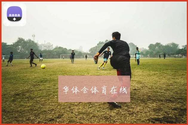 华体会体育在线