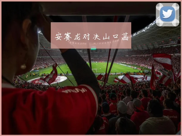 安赛龙对决山口茜