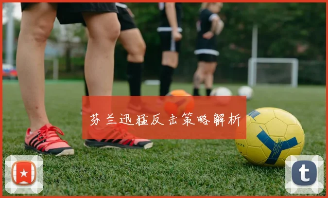 芬兰迅猛反击策略解析