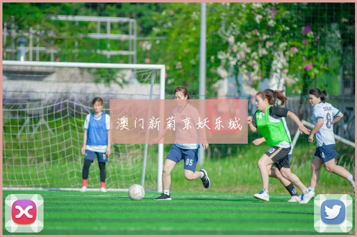 澳门新菊京妖乐城