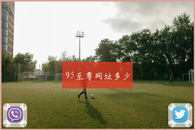95至尊网址多少