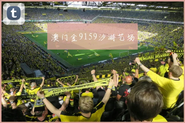 澳门金9159沙游艺场
