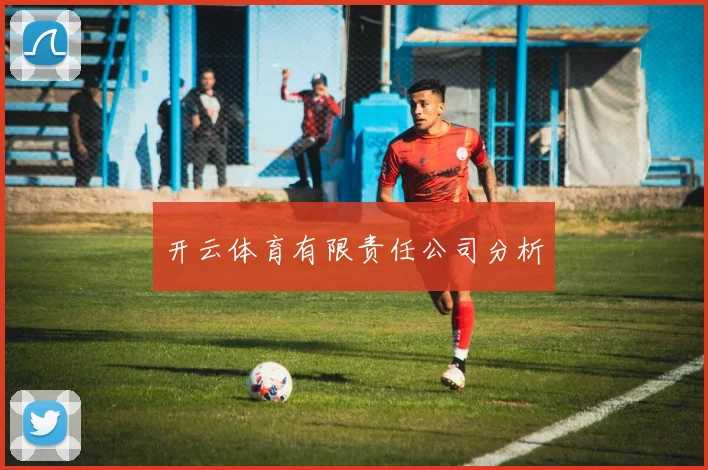 开云体育有限责任公司分析