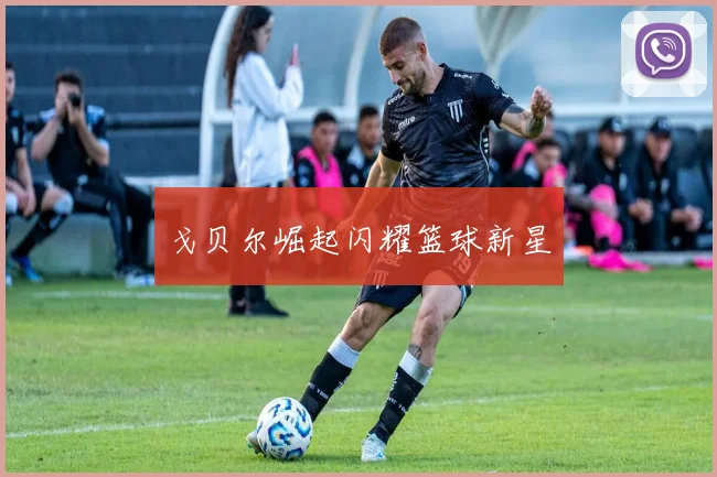 戈贝尔崛起闪耀篮球新星
