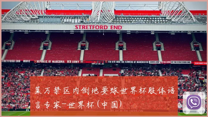 莱万禁区内倒地要球世界杯肢体语言专家-世界杯(中国)