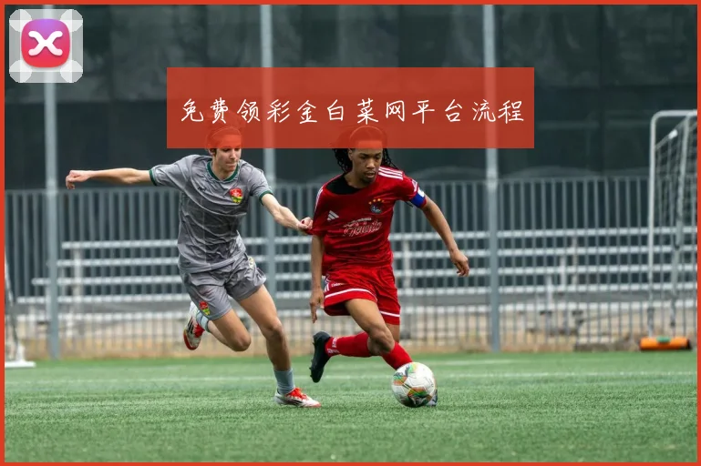 免费领彩金白菜网平台流程
