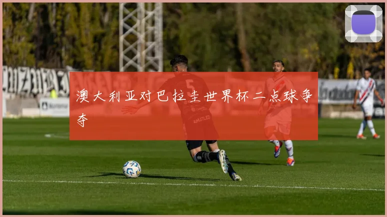 澳大利亚对巴拉圭世界杯二点球争夺