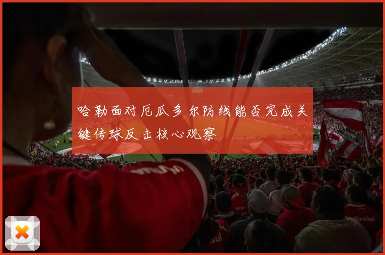 哈勒面对厄瓜多尔防线能否完成关键传球反击核心观察