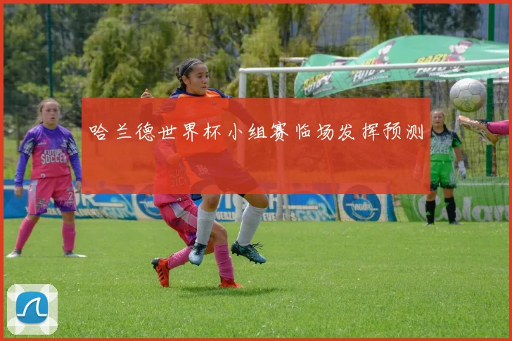 哈兰德世界杯小组赛临场发挥预测