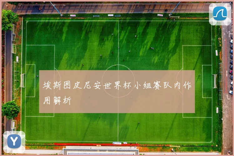 埃斯图皮尼安世界杯小组赛队内作用解析